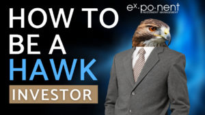 Q1 hawk investor2 300x169
